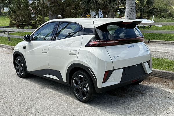 Seagull rear